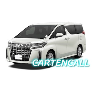 ALPHARD S A Package